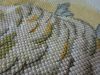 DSC01738.JPG