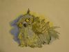 DSC01783.JPG