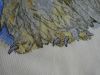 DSC01815.JPG