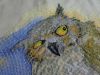 DSC01816.JPG