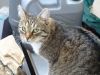 DSC01820.JPG