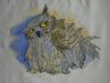 DSC01823-2.JPG