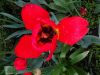 DSC01872.JPG