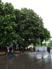 DSC01874.JPG