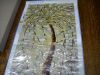 DSC04937.JPG