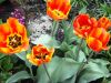 DSC04951.JPG