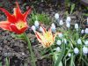 DSC04952.JPG