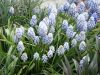DSC04957.JPG