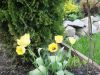 DSC04963.JPG