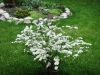 DSC04965.JPG