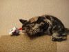 DSC06571.JPG