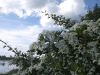 DSCF0381.JPG