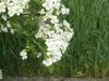 DSCF0384.JPG
