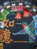 DSCN0814.JPG
