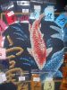 DSCN0815.JPG