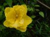 DSCN0976.JPG