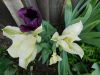 DSCN0980.JPG