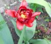 DSCN0993.JPG