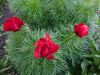 DSCN1147.JPG
