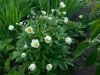 DSCN1149.JPG