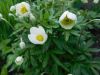 DSCN1152.JPG