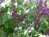 DSCN1157.JPG