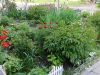 DSCN1162.JPG