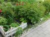 DSCN1163.JPG