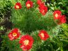 DSCN1215.JPG