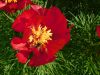 DSCN1216.JPG
