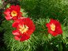 DSCN1222.JPG