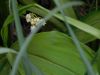 DSCN1519.JPG