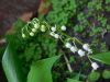 DSCN1521.JPG
