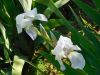 DSCN1622.JPG