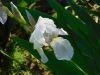 DSCN1623.JPG