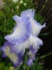 DSCN1809.JPG