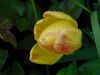 DSCN1819.JPG