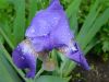 DSCN1823.JPG