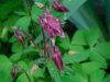 DSCN1835.JPG
