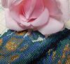 DSCN5058.jpg