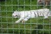 DSC_0546.JPG