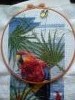 DSC_0598.thumb.jpg.93aa6a9f23ee2ad0bd3a5