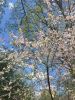 IMG-20160430-WA0003.jpg
