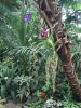 IMG-20160430-WA0007.jpg