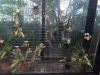 IMG-20160430-WA0009.jpg