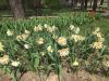 IMG-20160430-WA0011.jpg