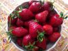 IMG-20160522-WA0001.jpg