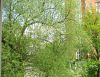 IMG_0045.JPG