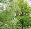IMG_0047.JPG