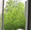 IMG_0049.JPG